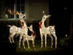 100 Percent Customer Satisfaction Lighting Services