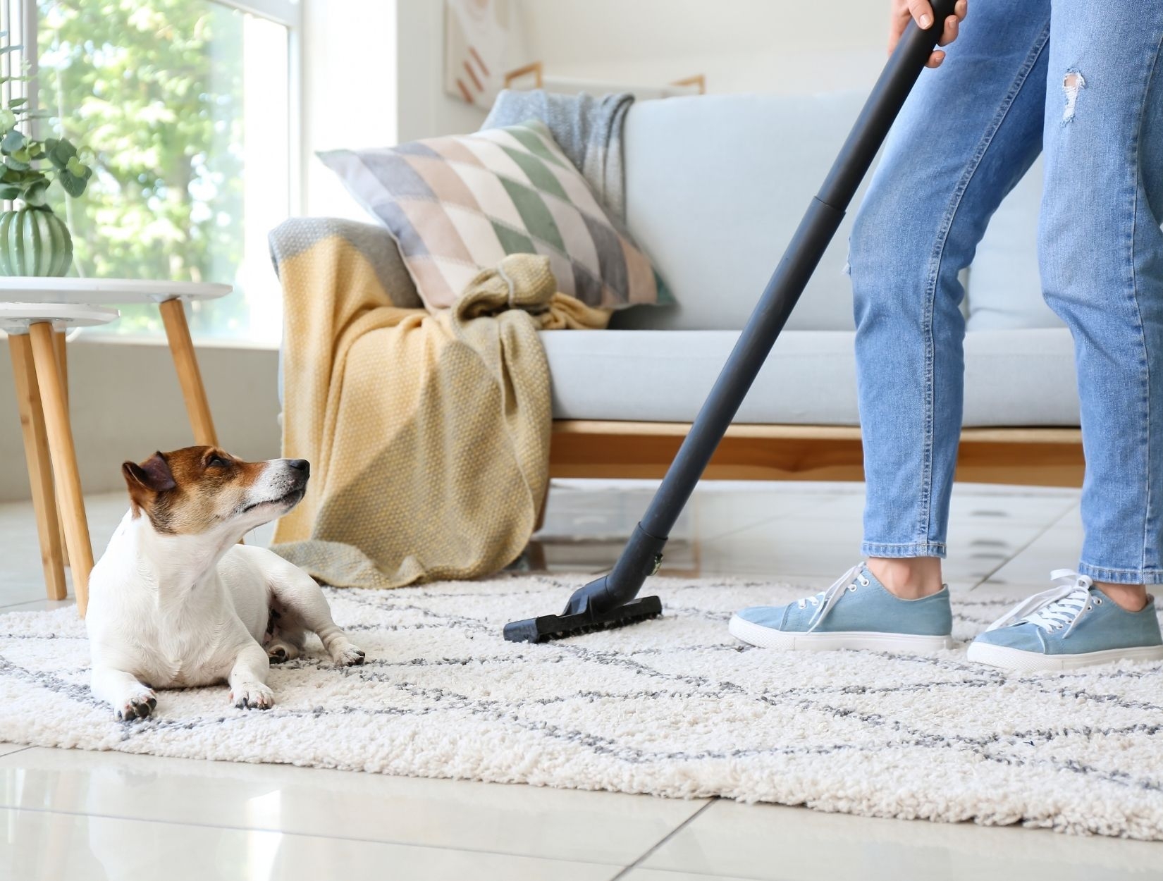 Best 10 home cleaners near me