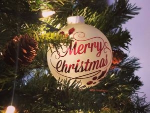 What Are the Top 10 Best Christmas Light Installation Services Near Austin, Texas?