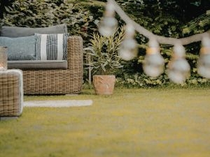 Who Are the Best Residential Christmas Light Installers Near Austin, Texas?